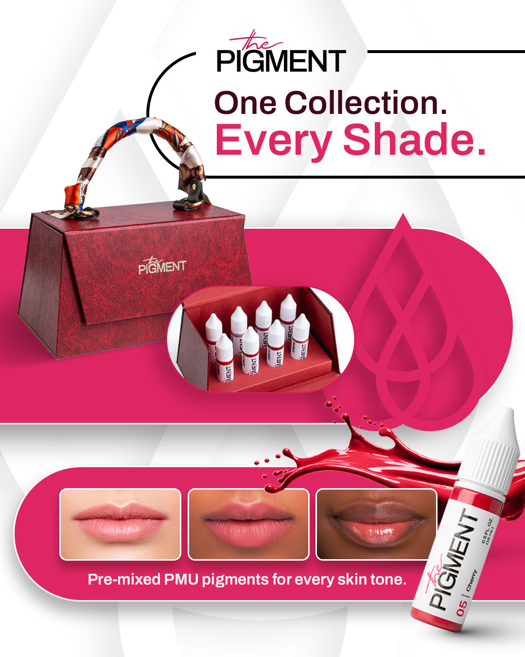 Colección Pigmentos labios The Pigment PMU profesional maletín completo con tonos premezclados para todas las pieles y lip blush moderno