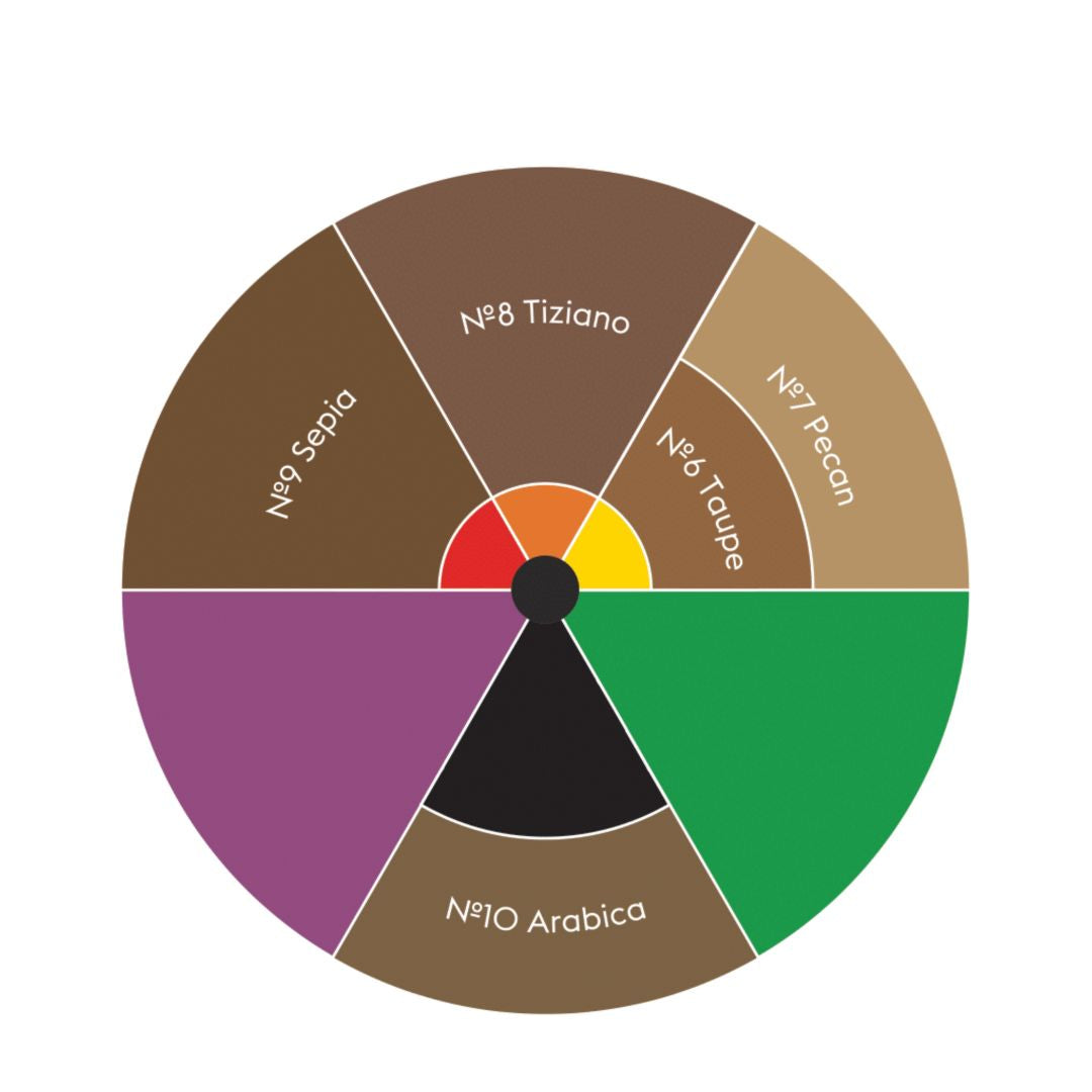 Carta de colores Etalon Mix Mineral Line para pigmentos de cejas PMU con tonos Taupe, Pecan, Tiziano, Sepia y Arabica. Guía profesional de colorimetría para micropigmentación.