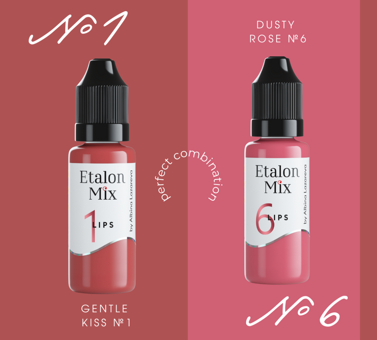 PIGMENTO TRUCCO PERMANENTE LABBRA ETALON MIX - 6 DUSTY ROSE - PMU TREND SHOP