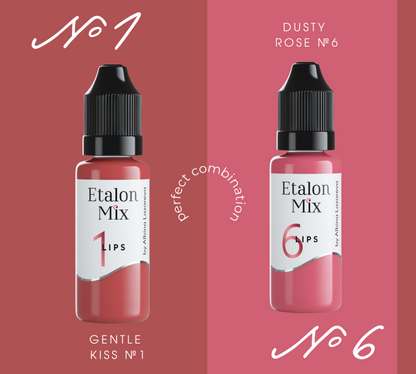 PIGMENTO TRUCCO PERMANENTE LABBRA ETALON MIX - 6 DUSTY ROSE - PMU TREND SHOP
