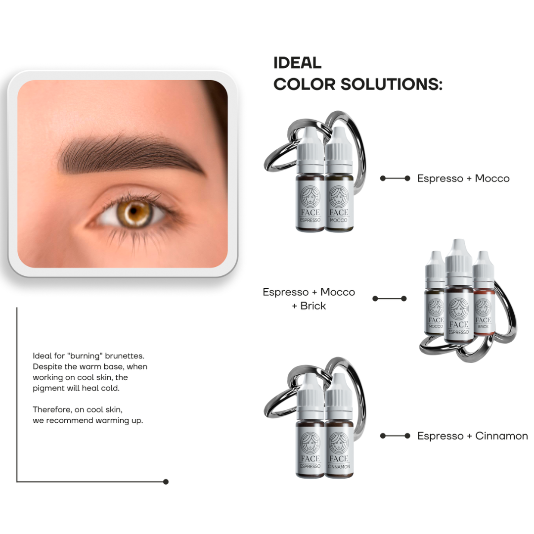 Mezclas recomendadas FACE Espresso para cejas PMU con Mocco Cinnamon y Brick en micropigmentación profesional