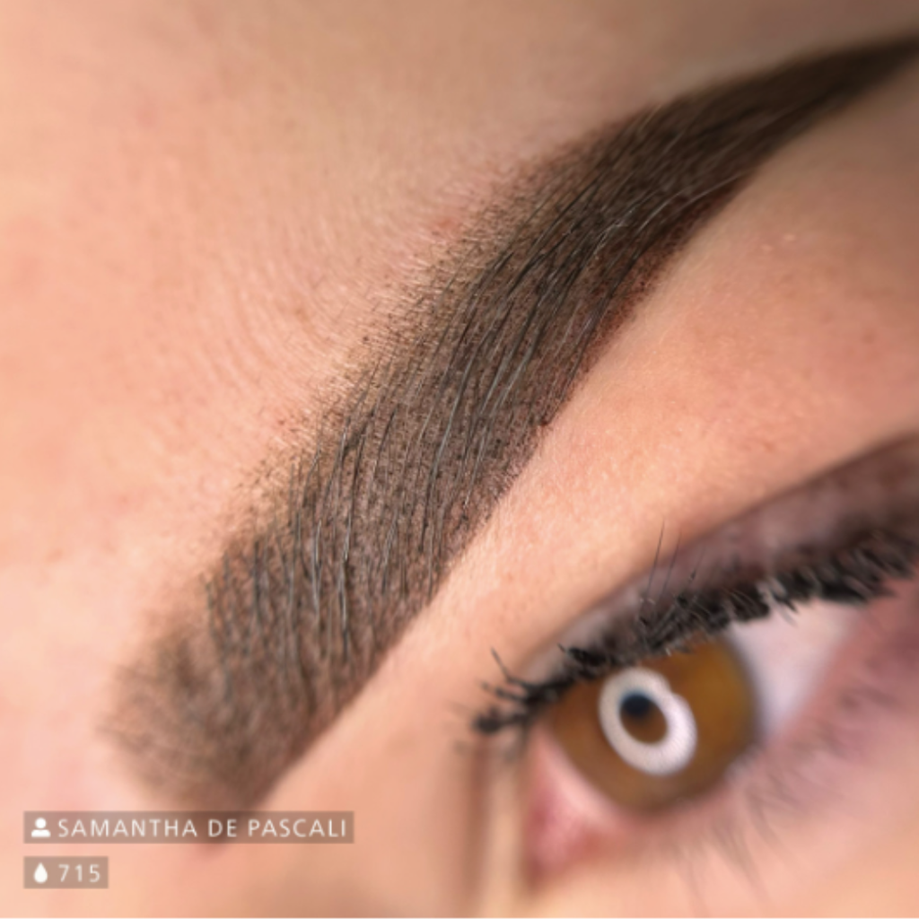Resultado de micropigmentación de cejas con Swiss Color 715 Classic Brown, marrón medio oscuro en cejas definidas, elegantes y naturales